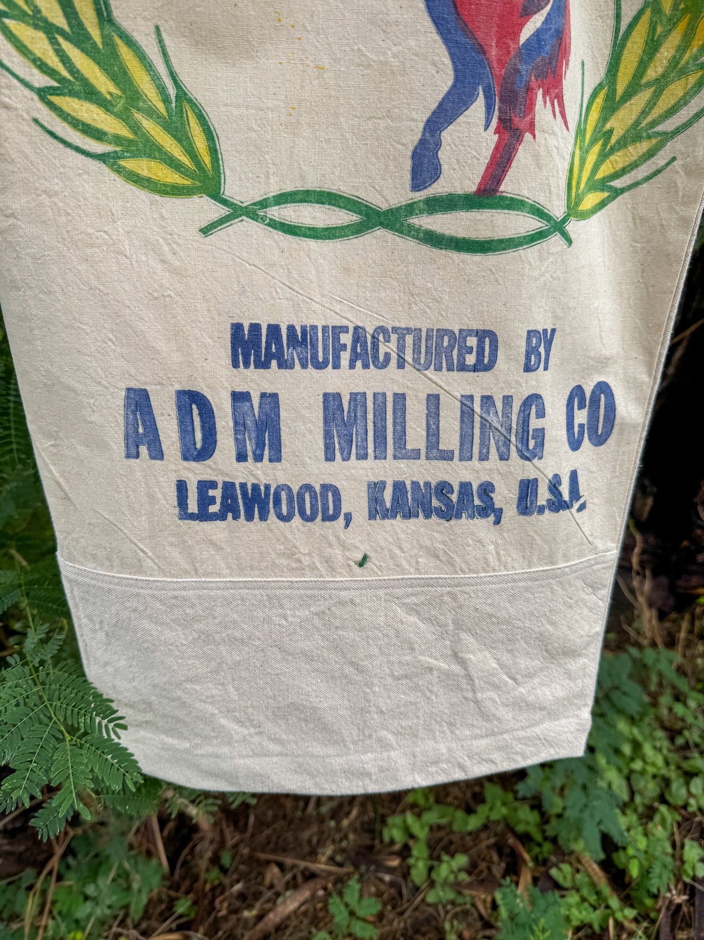 CAVALIER WIDE PANTS (M/L)