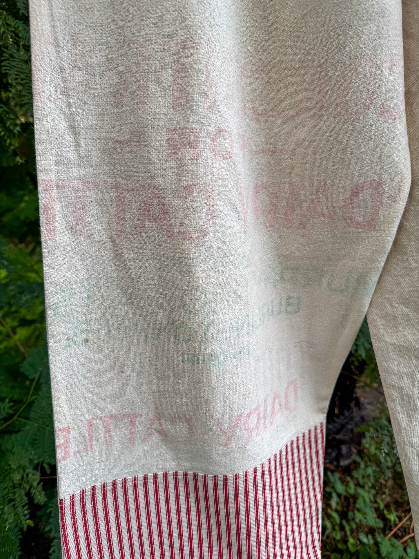 BIG PIG WIDE PANTS (SM/M)