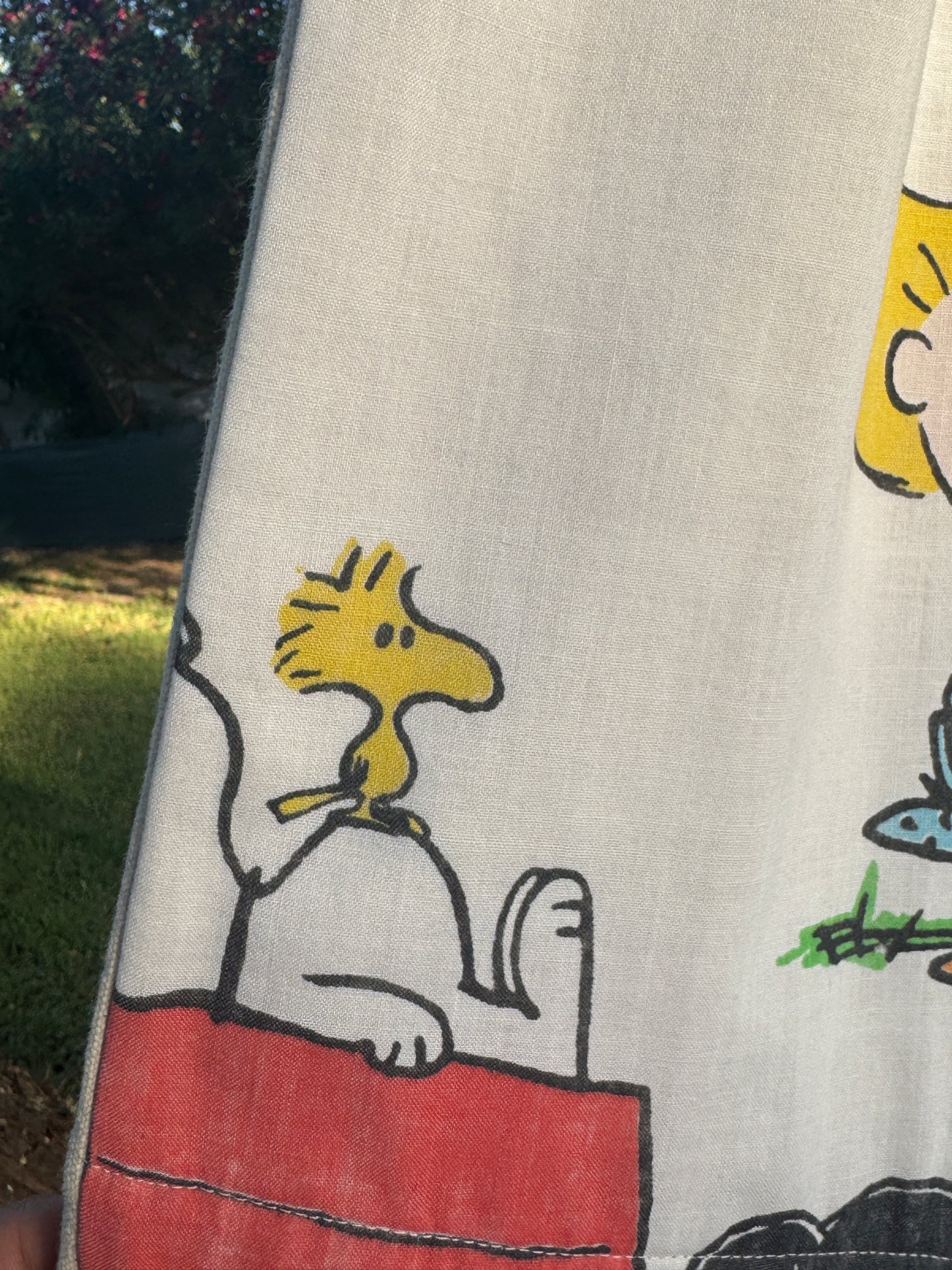 PEANUTS SHORTS (M/L)