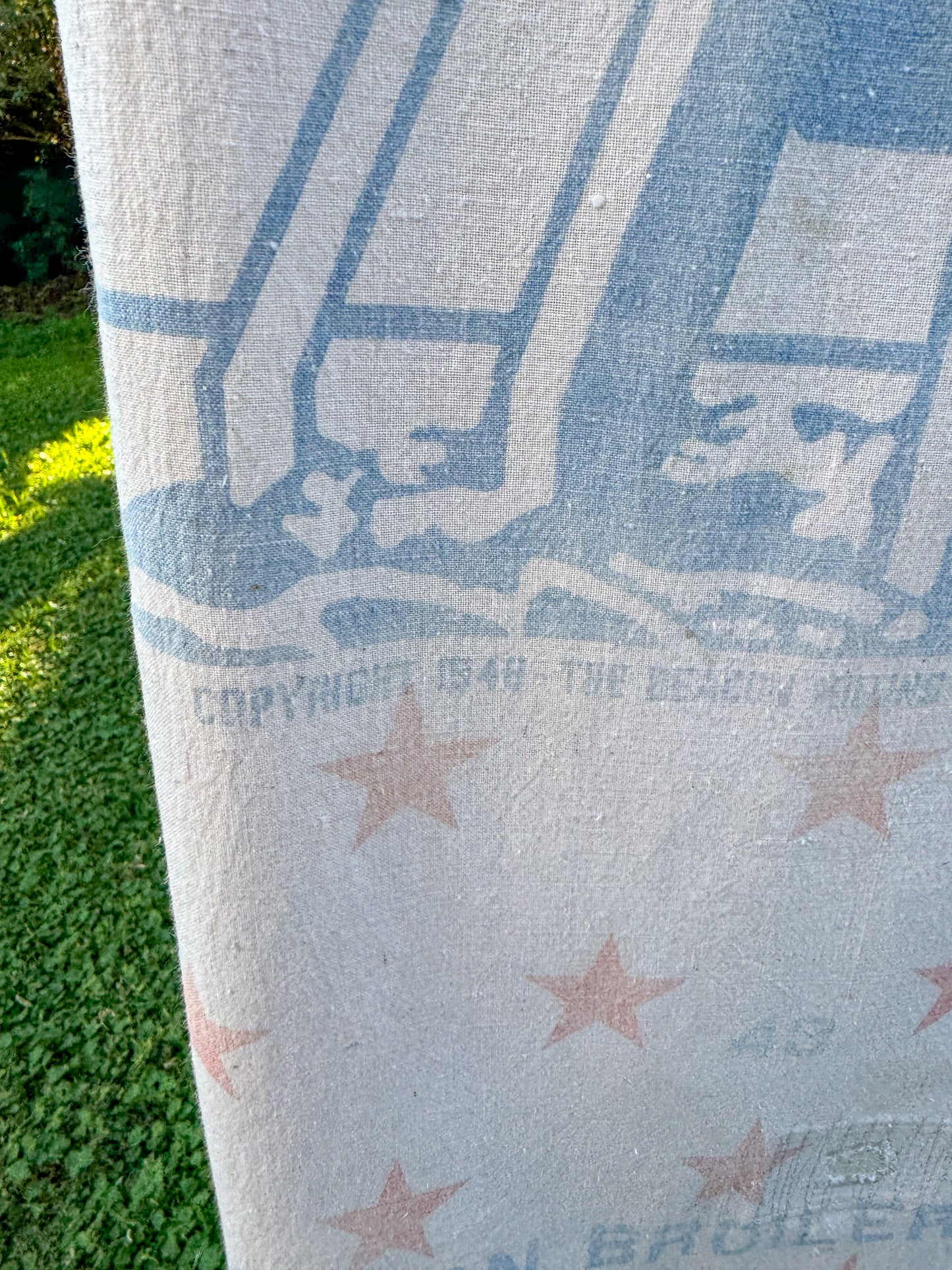 BEACON WIDE PANTS (M/L)