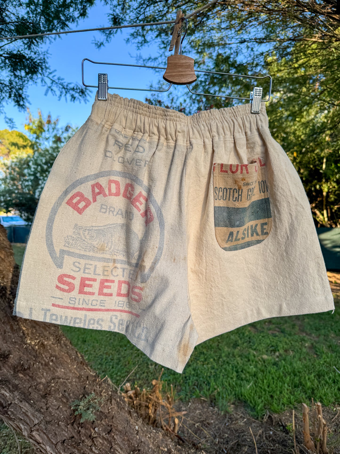 TROPHY BADGER SHORTS (M/L)