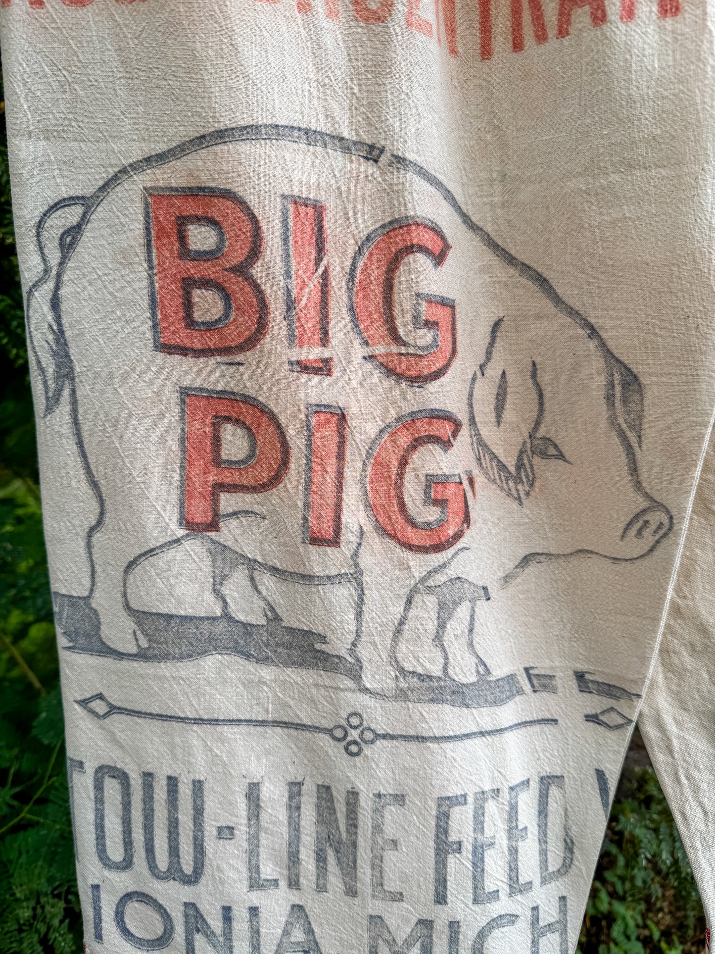 BIG PIG WIDE PANTS (SM/M)