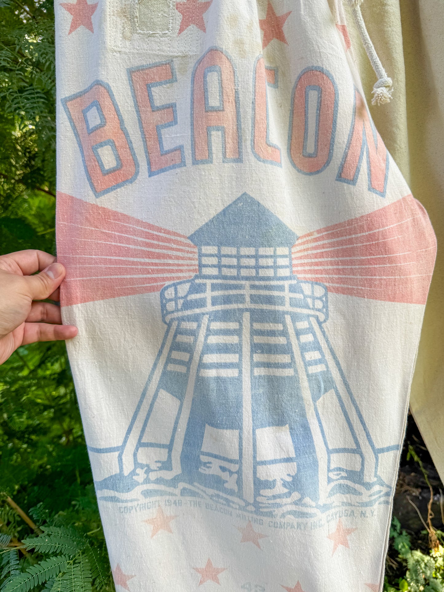 BEACON WIDE PANTS (M/L)