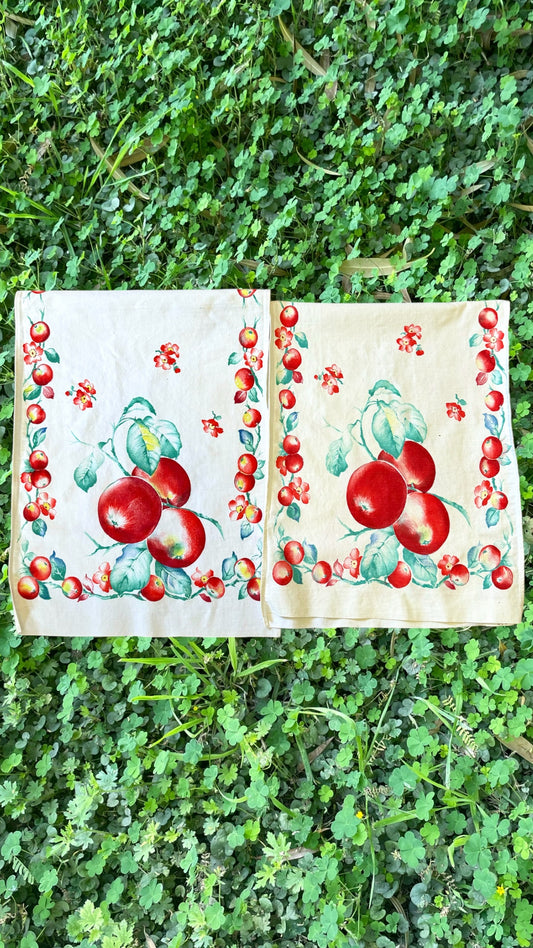 Cherries Blossoming Set (TIE TOP COMMISSIOM)