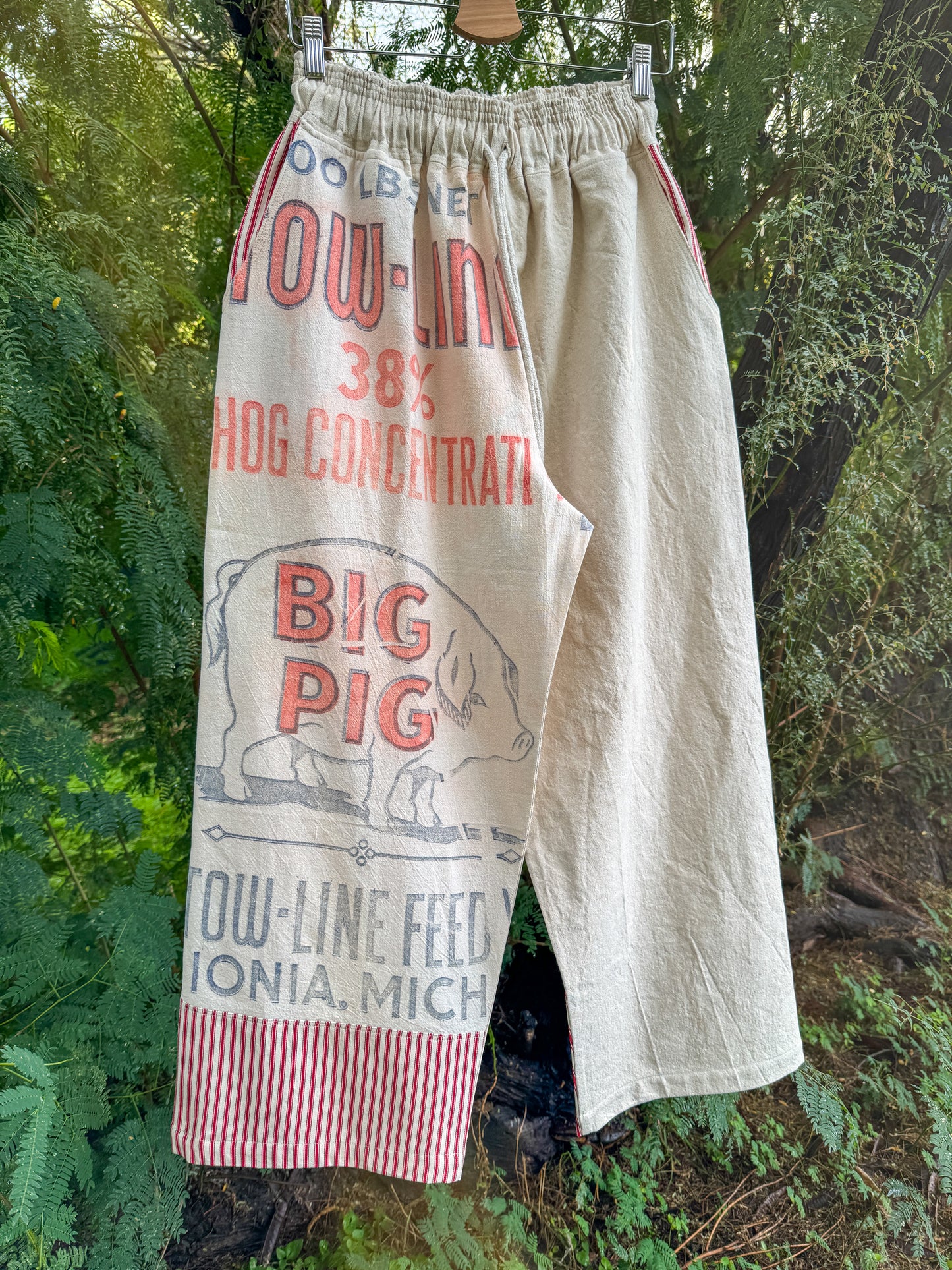 BIG PIG WIDE PANTS (SM/M)