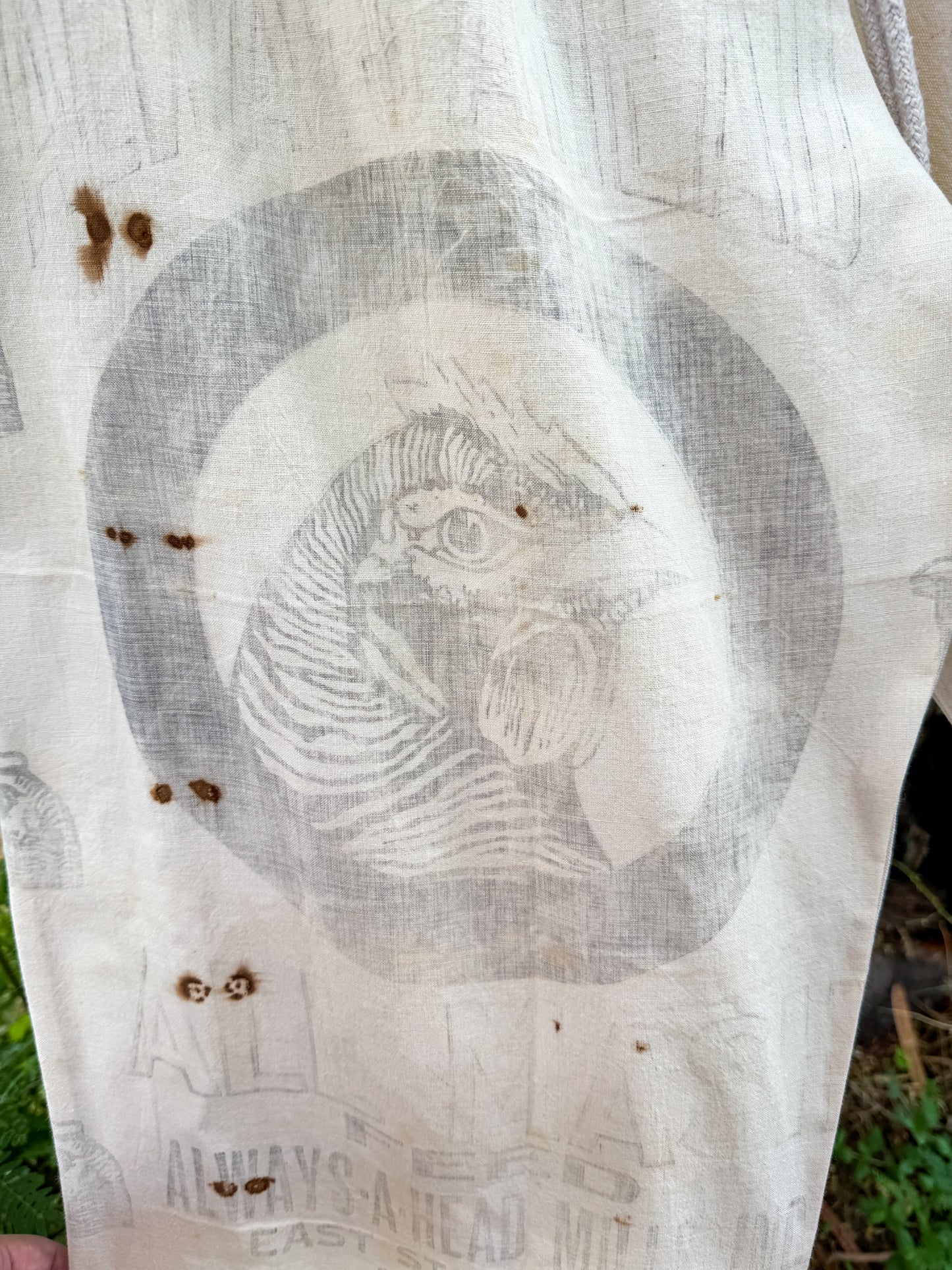 ALWAYS A HEAD CHICKEN FEED SACK PANTS (L/XL)