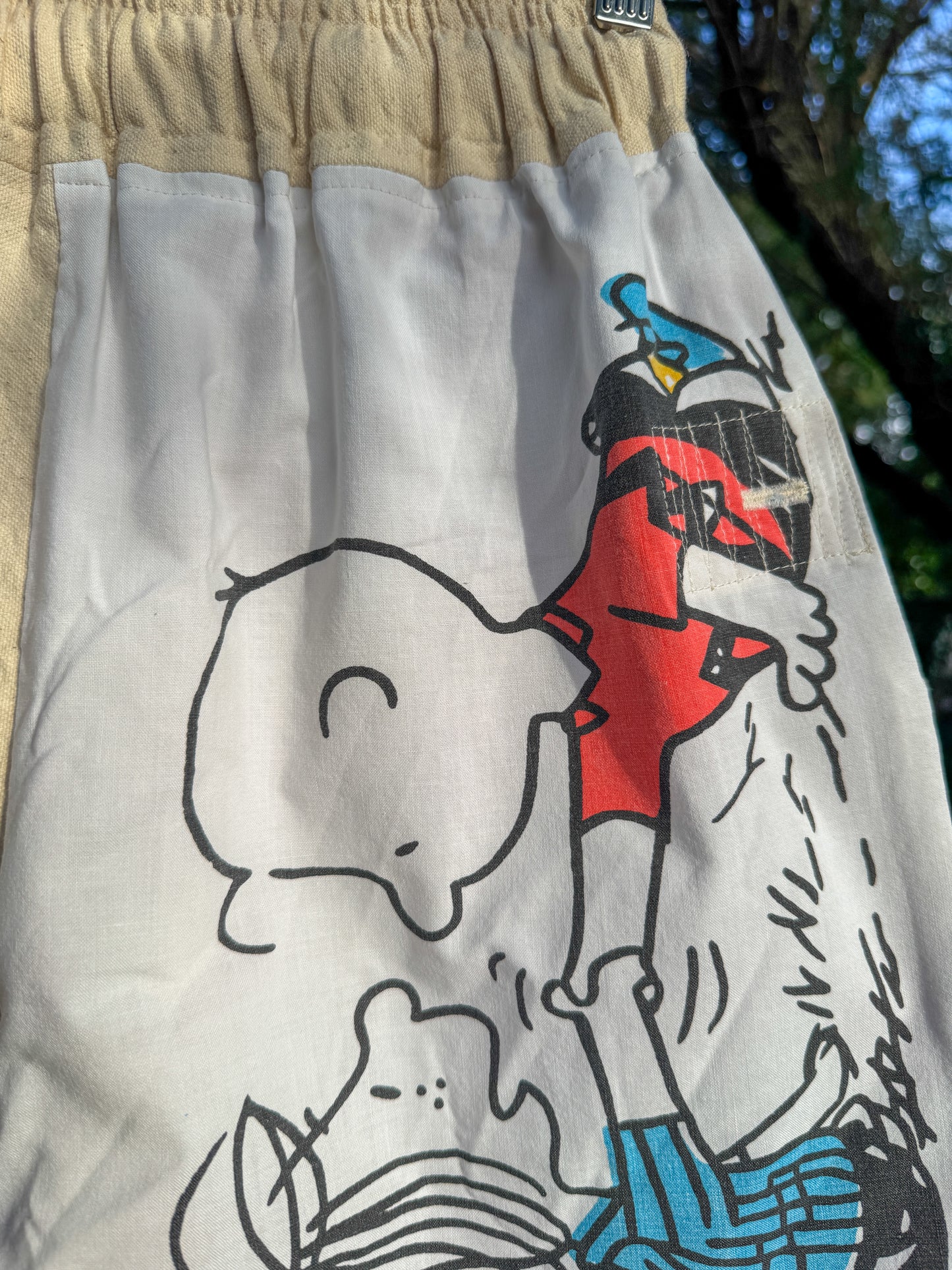 PEANUTS GANG SHORTS (SM/M)