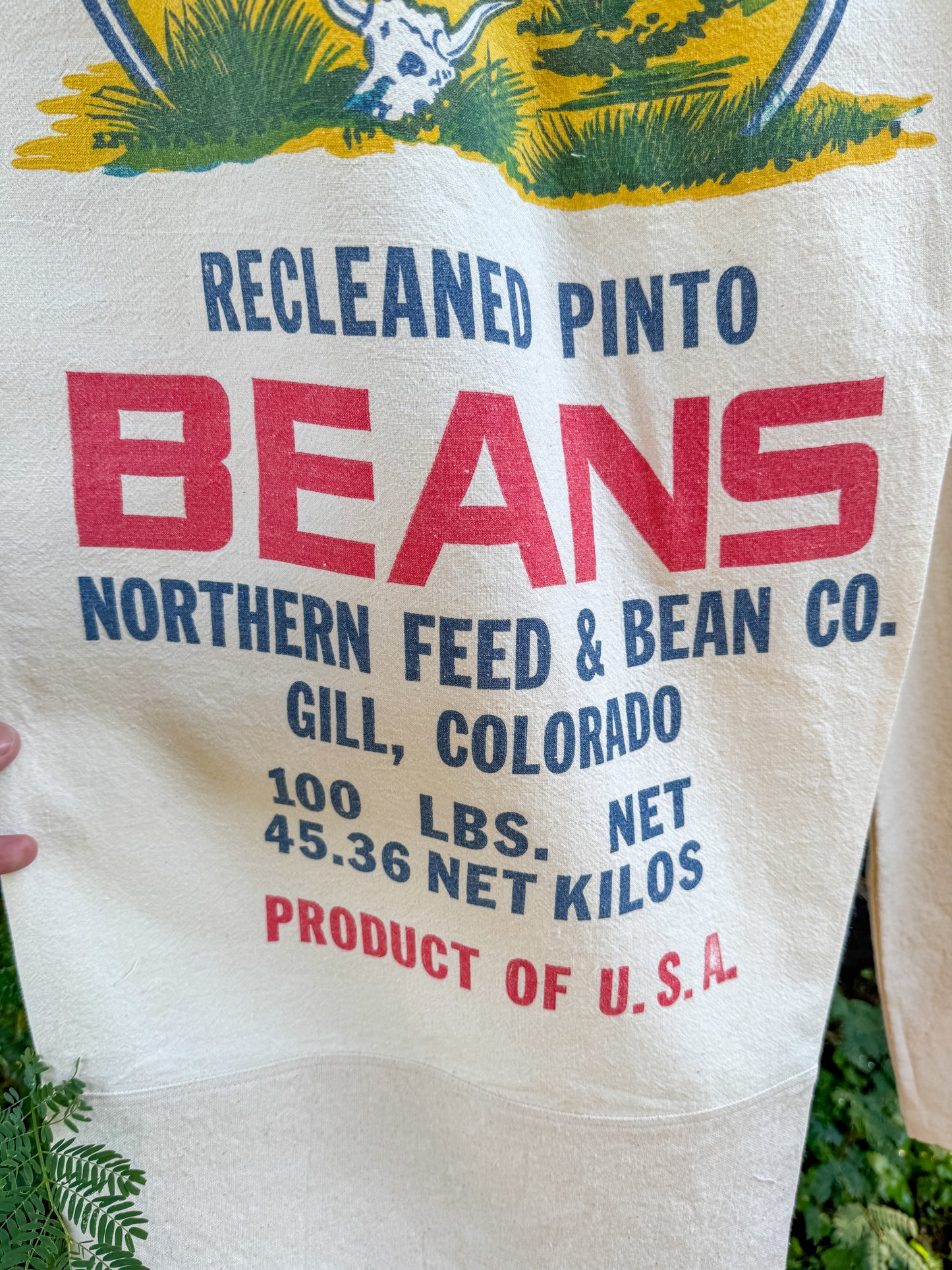 FRONTIER BEANS WIDE PANTS (L/XL)