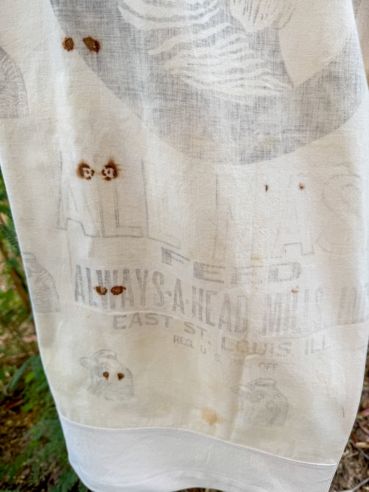 ALWAYS A HEAD CHICKEN FEED SACK PANTS (L/XL)