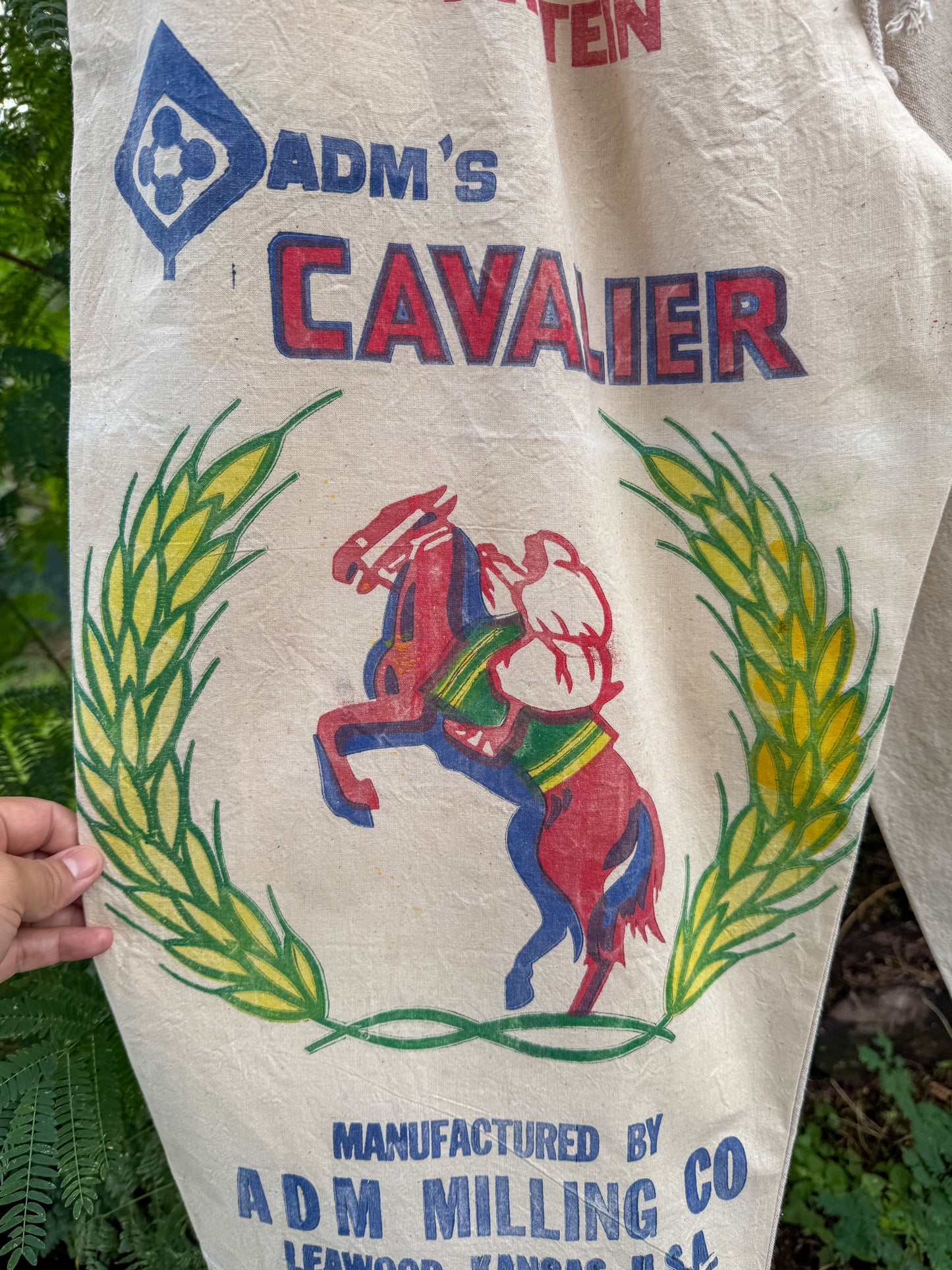 CAVALIER WIDE PANTS (M/L)